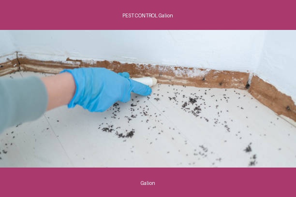 PEST CONTROL Galion